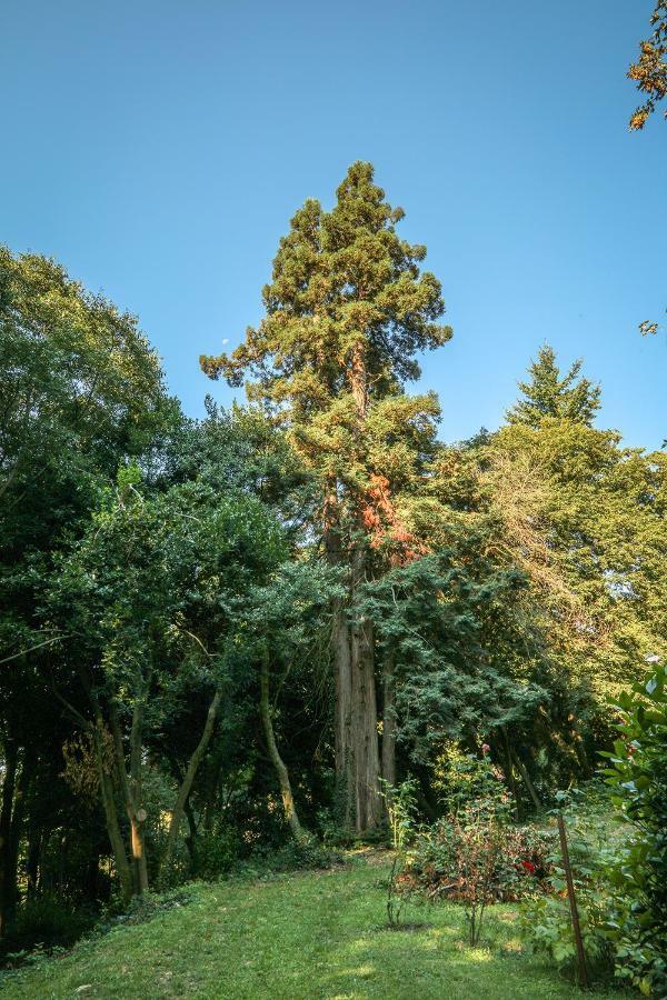 Le Clos D'Abrigeon オーブナ エクステリア 写真