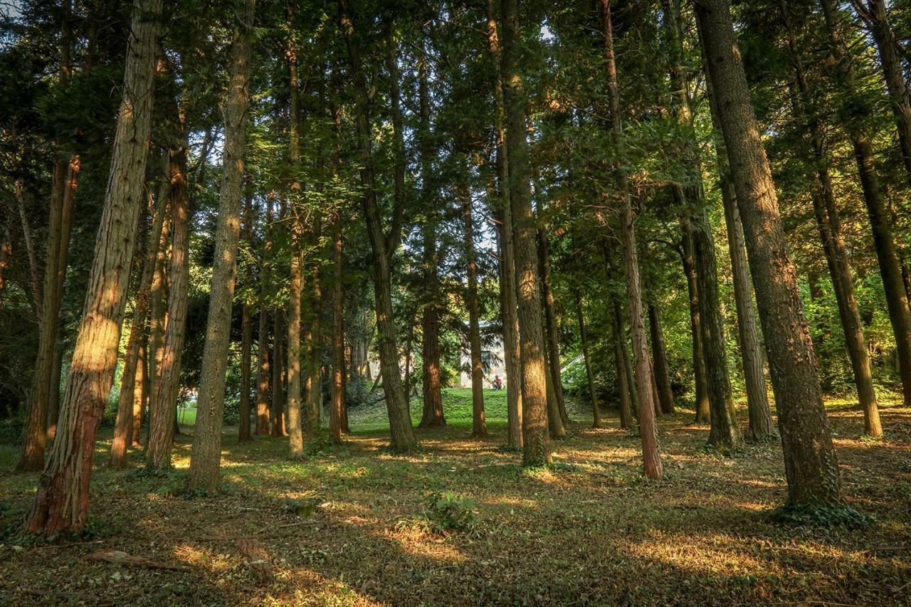 Le Clos D'Abrigeon オーブナ エクステリア 写真