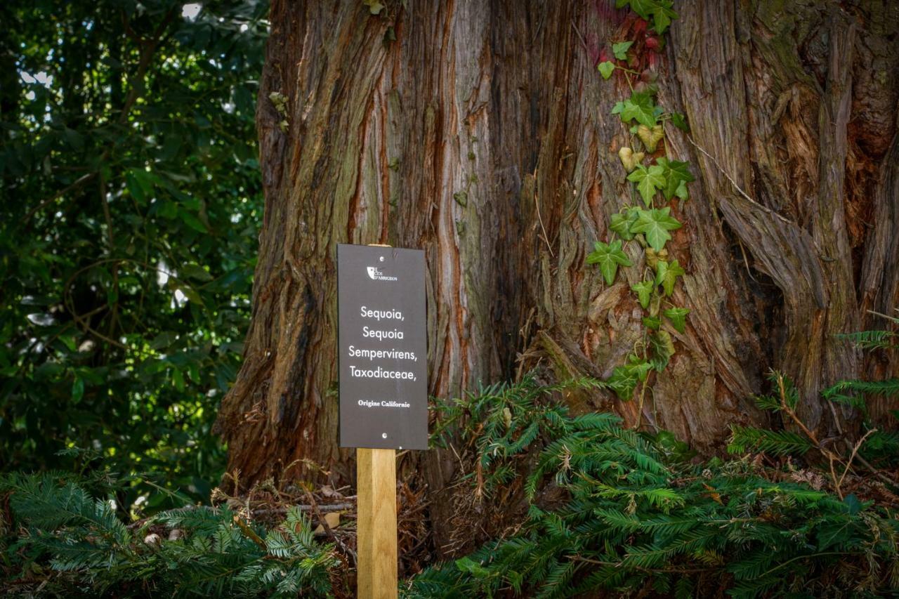 Le Clos D'Abrigeon オーブナ エクステリア 写真